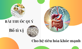 Bài thuốc bổ tì
