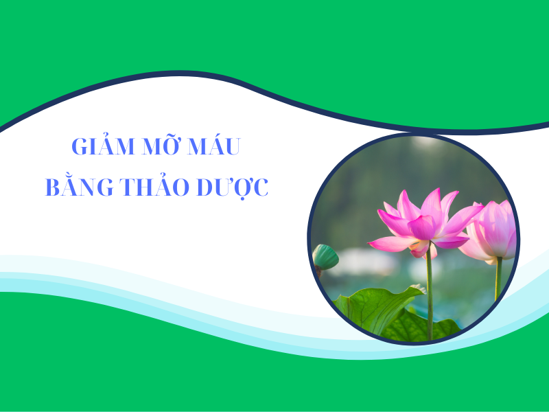 Giảm mỡ máu bằng thảo dược