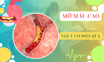 Mỡ máu cao nguy cơ đột quỵ