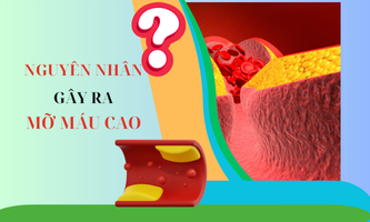 Nguyên nhân gây bệnh mỡ máu