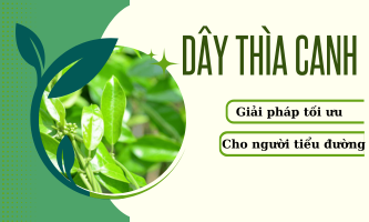 Dây thìa canh